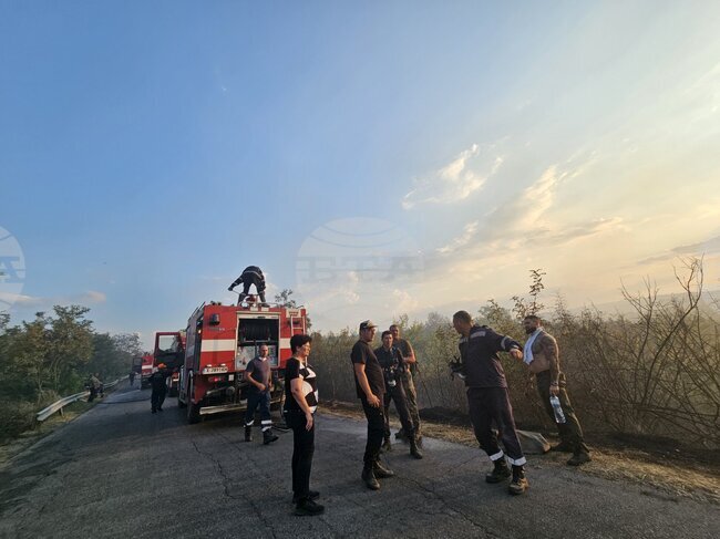 Общо 38 пожара са ликвидирани у нас през изминалото денонощие