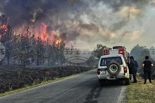 Обявено е частично бедствено положение в община Харманли заради разрастващия се пожар в района между селата Доситеево и Коларово