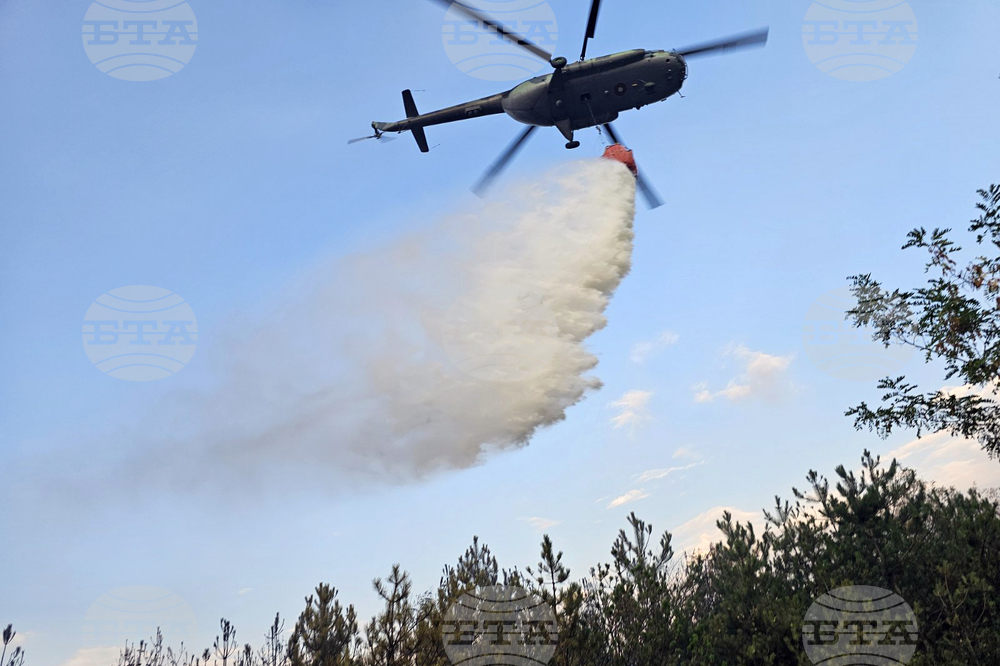 Fire Safety Directorate General Receives 100 Vehicles, Six Water Tanks