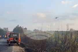 Харманли - пожар