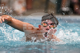 Разград - плувен празник