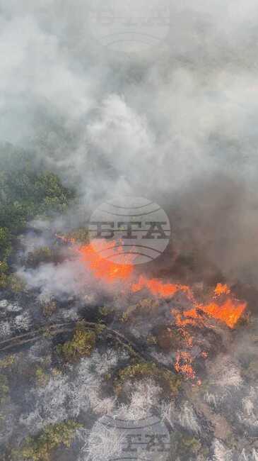 За справяне с пожарите Северна Македония очаква помощ по линия на европейския механизъм за гражданска защита