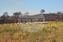 Село Воден - пожари