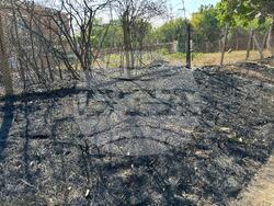 Снимка: МВР