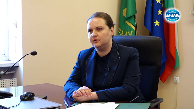 Намаляват регистрираните безработни младежки до 29 г., каза в интервю за БТА Габриела Димчева от Агенцията по заетостта