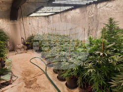 Снимка: МВР