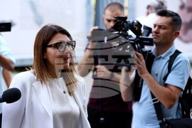 ДПС - структури - среща