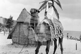 Поглед към курорта "Златни пясъци"  през юли 1968 г.