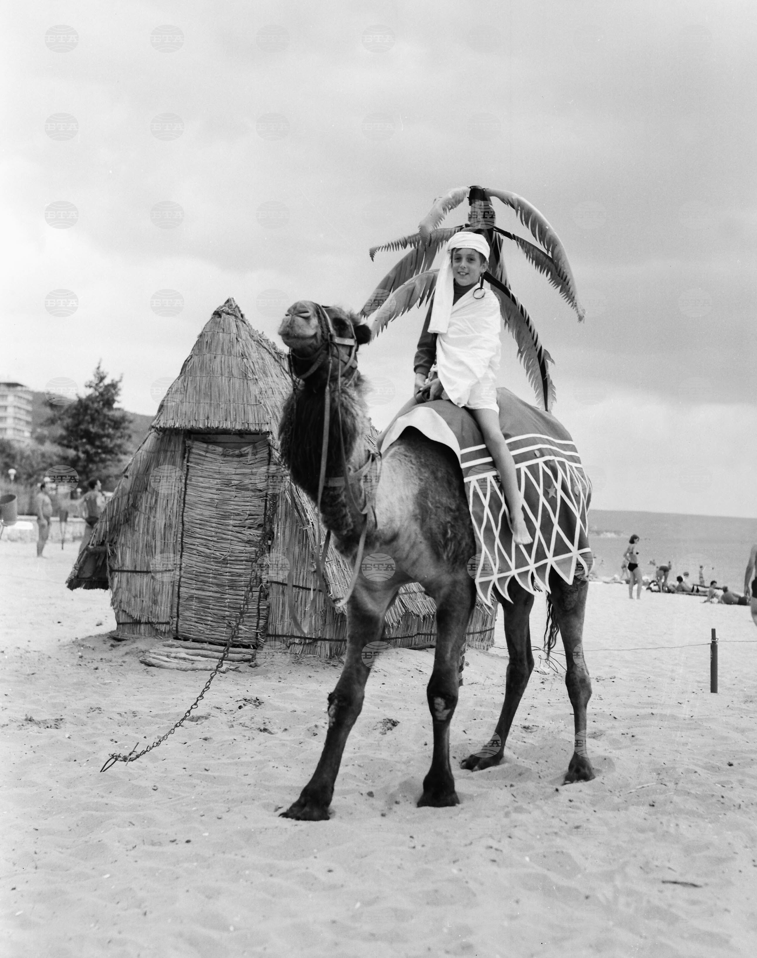 Поглед към курорта "Златни пясъци" през юли 1968 г.