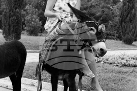 Поглед към курорта "Златни пясъци"  през юли 1968 г.