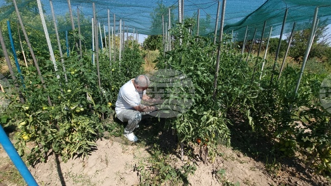 Форум за биологично земеделие ще се проведе на 9 и 10 декември в троянското село Чифлик