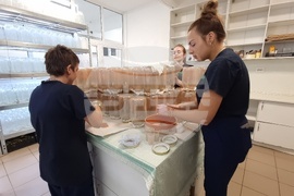 Село Дойренци - трихограма