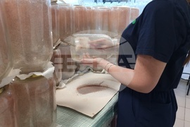 Село Дойренци - трихограма