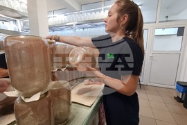 Село Дойренци - трихограма