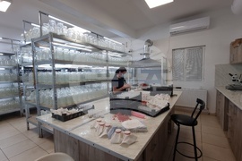 Село Дойренци - трихограма