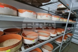 Село Дойренци - трихограма