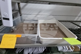 Село Дойренци - трихограма