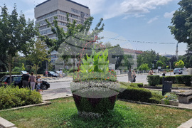 Разград - цветя - градинки