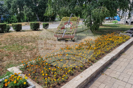 Разград - цветя - градинки