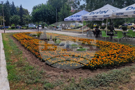 Разград - цветя - градинки