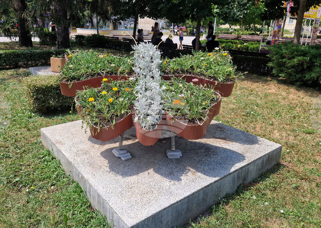 Разград - цветя - градинки