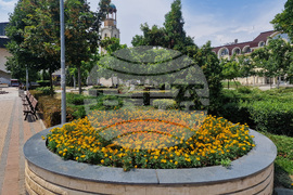 Разград - цветя - градинки