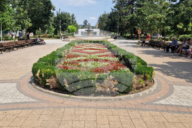 Разград - цветя - градинки