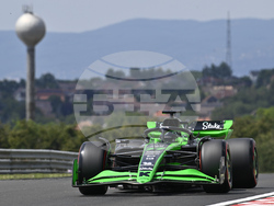 Hungary F1 GP Auto Racing