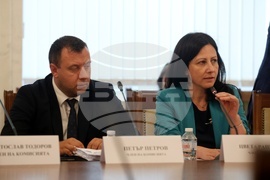 Народно събрание - Временна комисия свързана с дейността на Ивелин Михайлов и „Исторически парк“