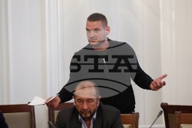 Народно събрание - Временна комисия свързана с дейността на Ивелин Михайлов и „Исторически парк“