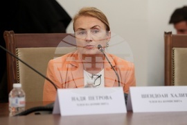 Народно събрание - Временна комисия свързана с дейността на Ивелин Михайлов и „Исторически парк“