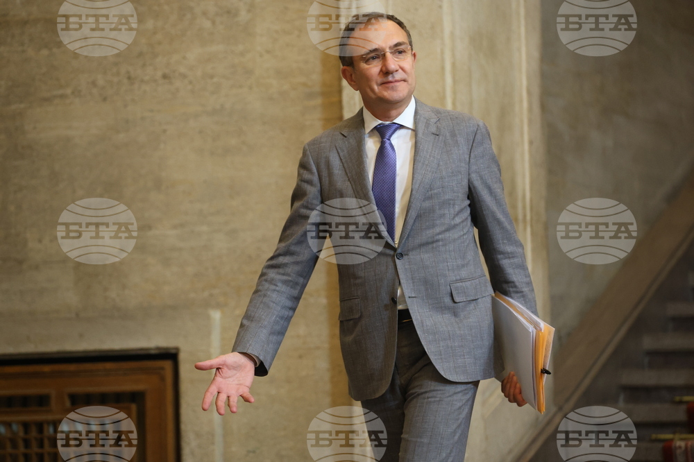 Съвет по сигурността - брифинг - Борислав Гуцанов