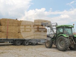 Снимка: Община Свиленград 