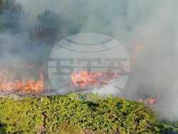 Снимка: Министерство на околната среда и водите 