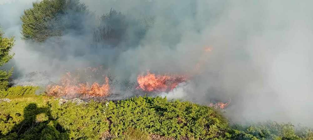 148 Fires Extinguished in Bulgaria in Past 24 Hours