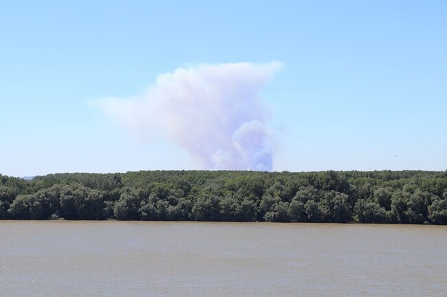 ОА Русе: Драгомир Драганов изпрати писмо до румънските власти за недопускане паленето на стърнища 