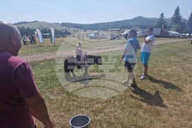 Габрово - „Узана поляна фест“ - фестивал