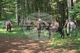 Габрово - „Узана поляна фест“ - фестивал