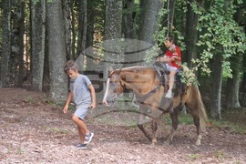 Габрово - „Узана поляна фест“ - фестивал