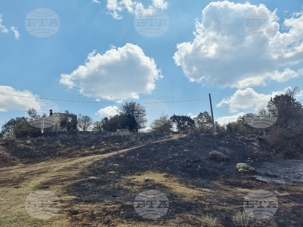 Нов пожар избухна между пловдивските села Скутаре и Рогош