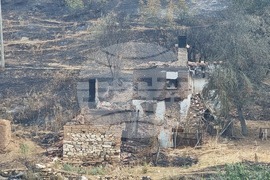 Село Крайново - щети - пожари