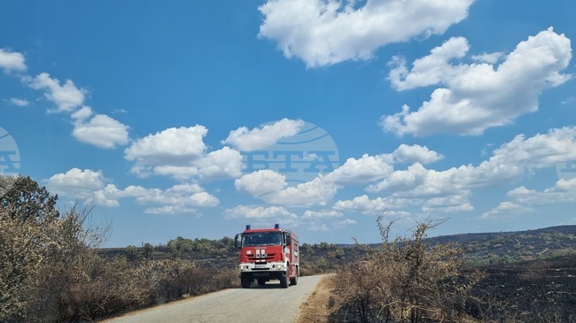 Government Allocates Additional EUR 1,550 to Disaster Victims in 2026