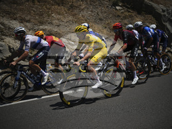 Cycling Tour de France