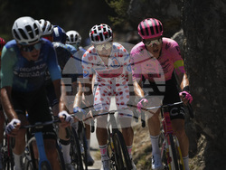 Cycling Tour de France