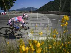 Cycling Tour de France