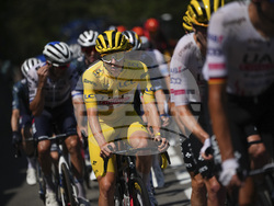 Cycling Tour de France