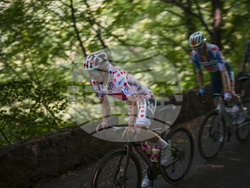 Cycling Tour de France