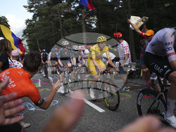 Cycling Tour de France
