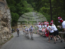 Cycling Tour de France