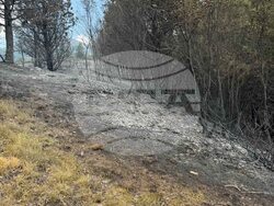 Снимка: МОСВ